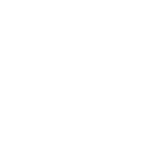 NZ_Mint_Logo