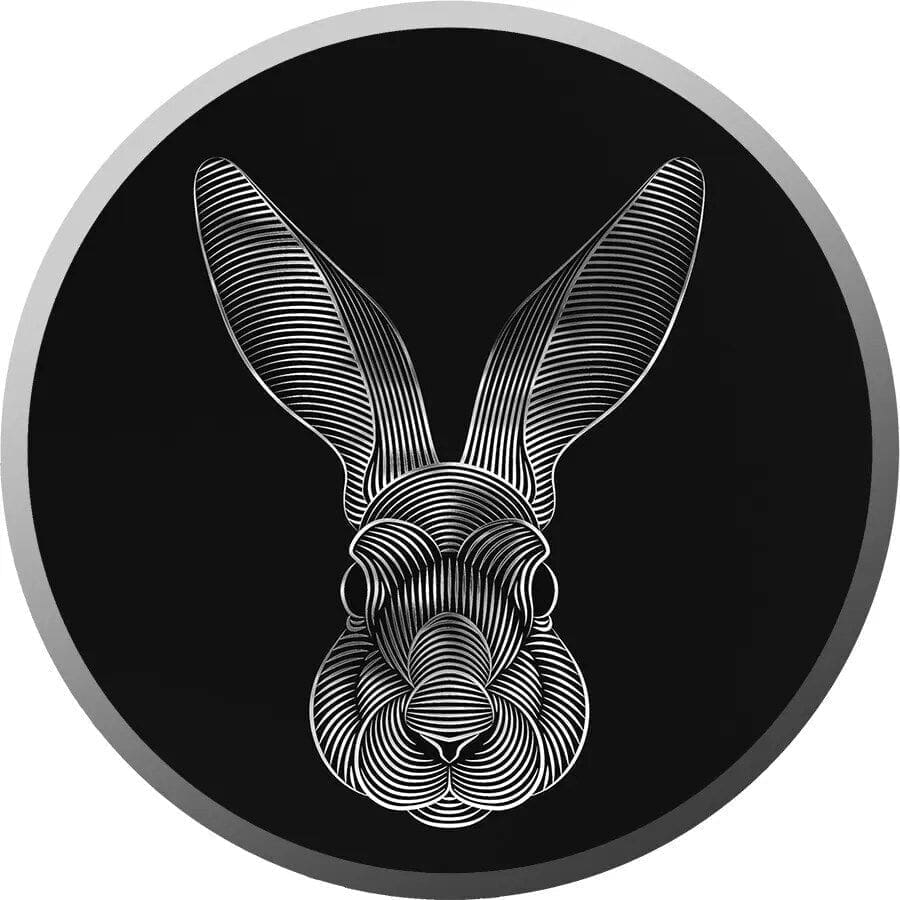 2023 Lunar Rabbit V.2 Series Thinnest & Biggest 1g Silver Coin