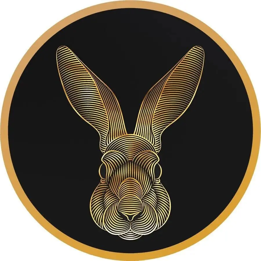 2023 Lunar Rabbit V.1 Series Thinnest & Biggest 1g Silver Gilded Coin