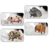 2018 $1 Lunar Calendar Year of The Pig 1oz Silver Coloured Rectangle Proof 4 Coin Set
