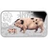 2018 $1 Lunar Calendar Year of The Pig 1oz Silver Coloured Rectangle Proof 4 Coin Set - Image 4