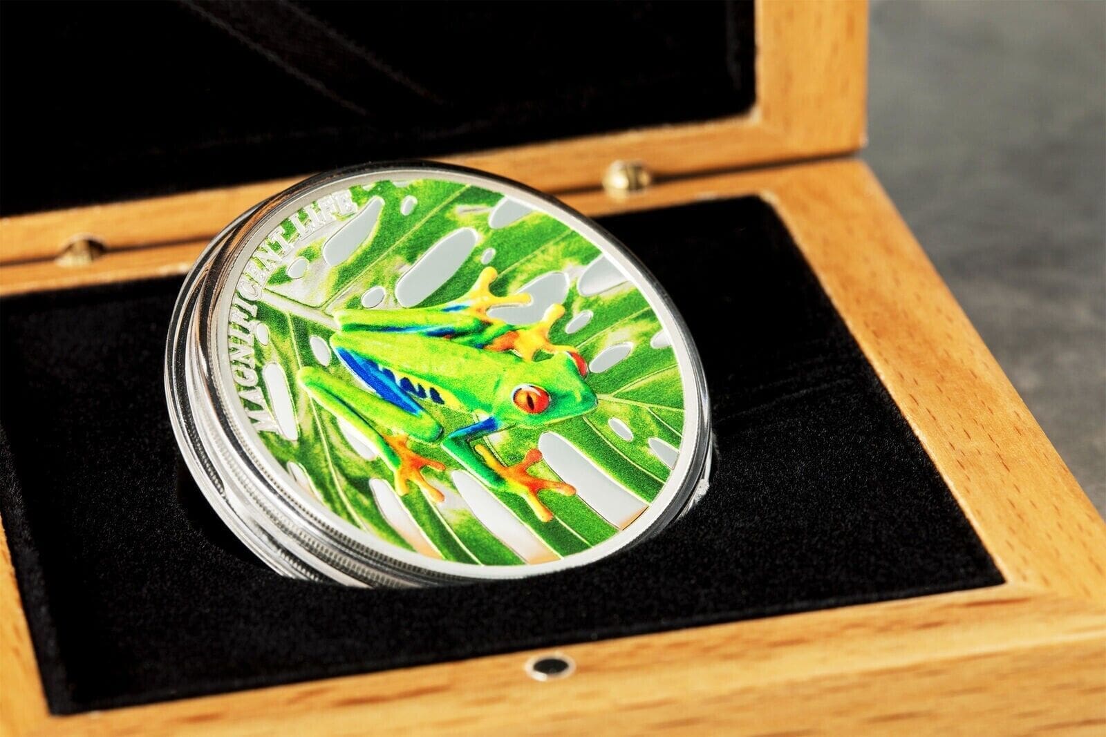 2018 $5 Magnificent Life Tree Frog 1oz Silver Proof Coin