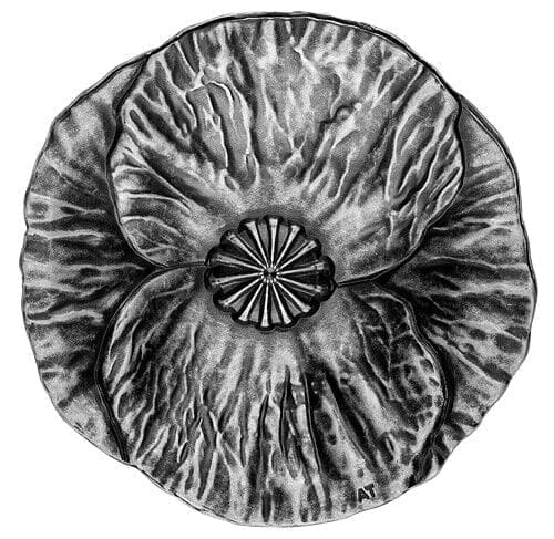 2020 $20 Remembrance Day Silver Antiqued Coin