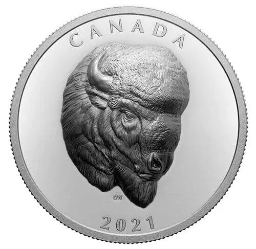 2021 $25 Bold Bison Silver Proof Coin