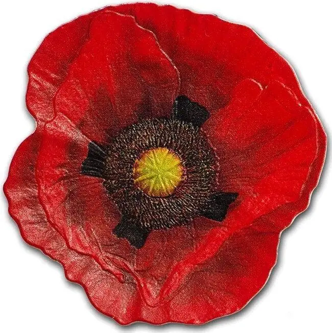 2017 $5 Remembrance Poppy Colour 1oz Silver Proof-Like Coin
