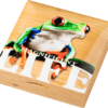 2018 $5 Magnificent Life Tree Frog 1oz Silver Proof Coin - Image 2