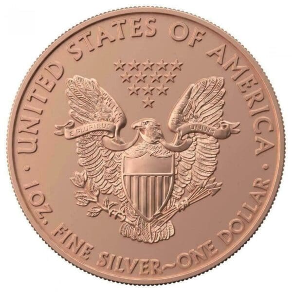 2019 $1 Silver Eagle King's Skull 1oz Silver Coin - Image 3