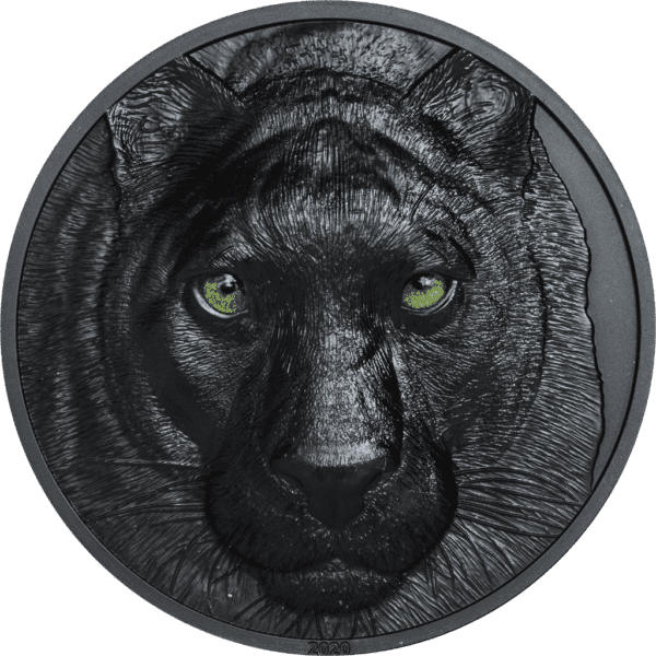 2020 $10 Black Panther Hunters By Night 2oz Silver Coin