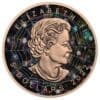 2022 $5 The Gold Spider Bejeweled Maple Leaf 1oz Silver Coin - Image 3