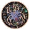 2022 $5 The Gold Spider Bejeweled Maple Leaf 1oz Silver Coin