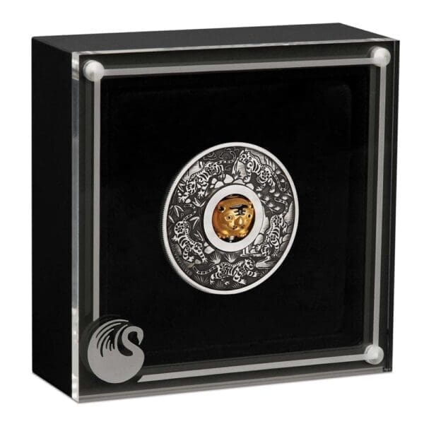 2022 Year Of The Tiger Rotating Charm 1oz Silver Antiqued Coin - Cased View