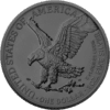2024 Multi Holo American Eagle 1oz Silver Coin - Image 2