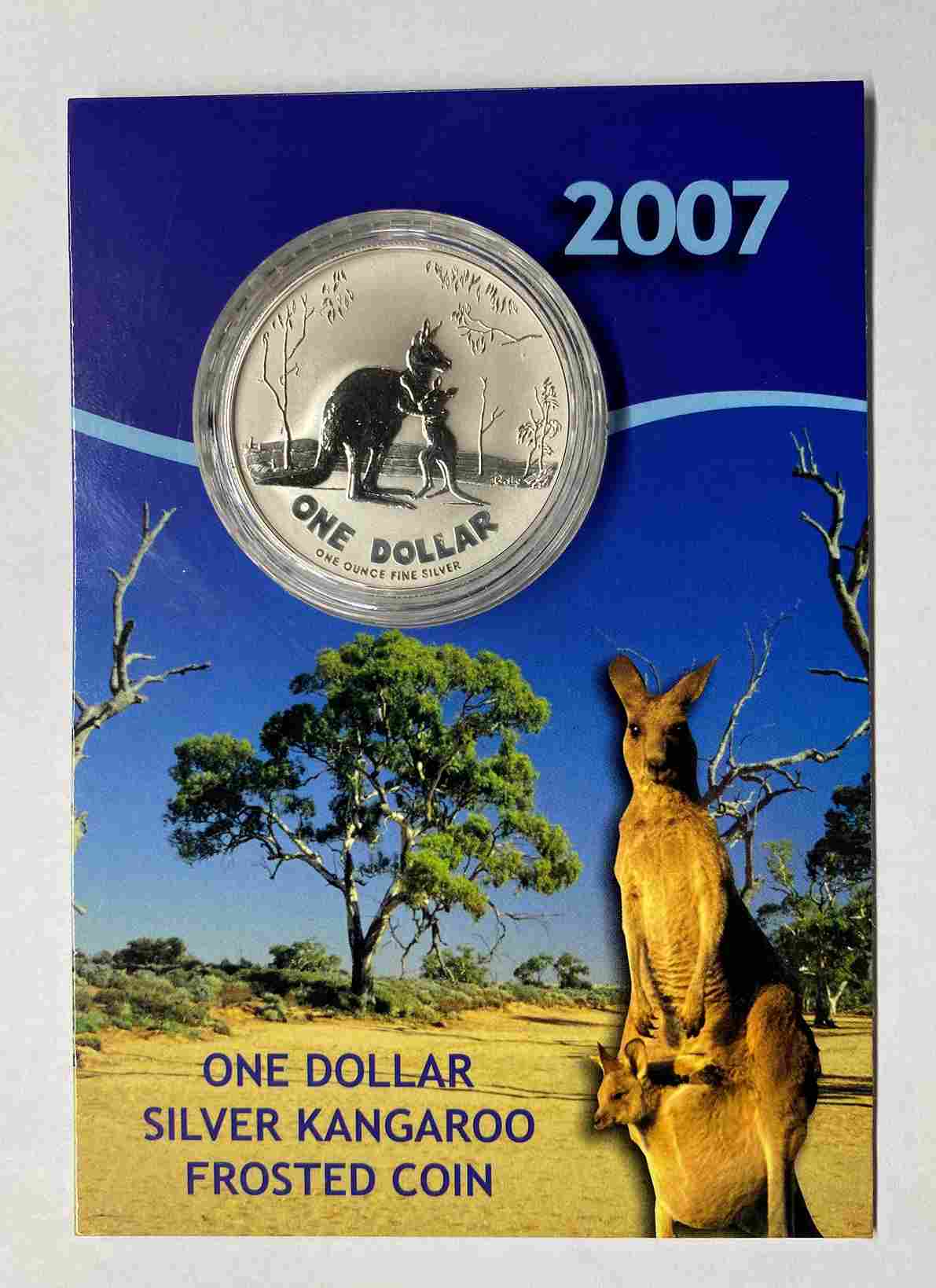 2007 $1 Kangaroo Series 1oz Silver Frosted Coin