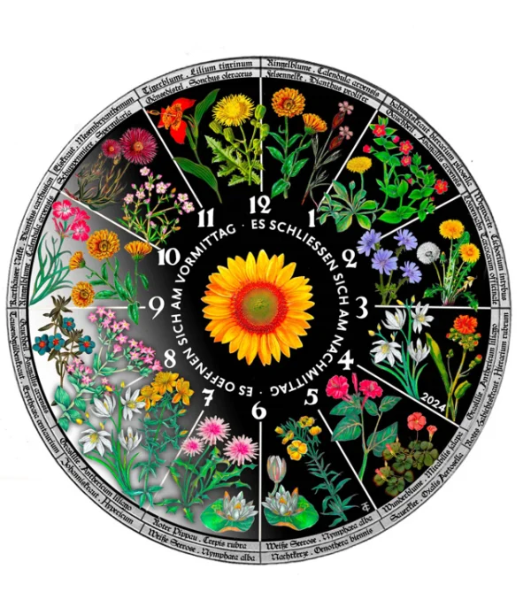 2024 $20 Horologium Florae 1oz Silver Proof Coin