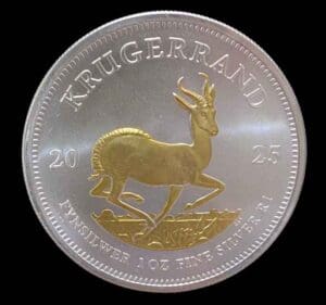2024 Krugerrand 1oz Silver Gilded Coin